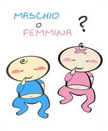 Gravidanza: sarà maschio o femmina ? Gravidanza: sarà maschio o femmina ?