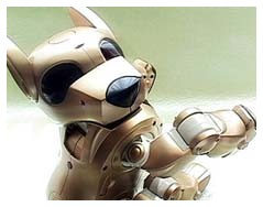 Tecnologia e robo