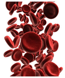 Leucemia mieloide cronica: aumenta la sopravvivenza Leucemia mieloide cronica: aumenta la sopravvivenza