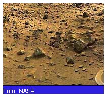 forme di vita extraterrestri
