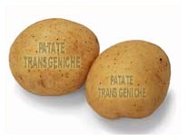 Pattate contro l'epatite B Pattate contro l'epatite B