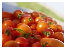 Pomodori al posto dei pesticidi
