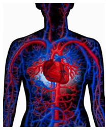 Prevedere un infarto grazie ad un test Prevedere un infarto grazie ad un test
