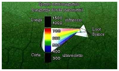 velocit della luce