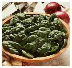 Spinaci contro la cecità Spinaci contro la cecità