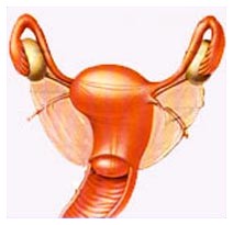 Trapianto d'utero