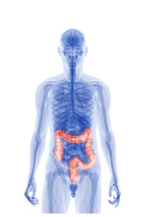 Tumore colon retto: sintomi e diagnosi