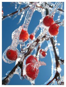 Tumore al polmone: crioablazione
