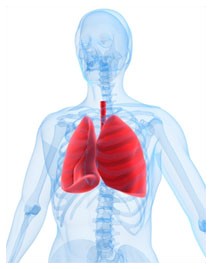 Cura per il tumore al polmone Cura per il tumore al polmone