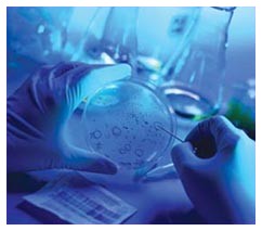 Staminali neoplastiche e tumori