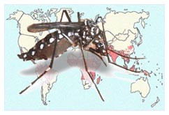 I primi risultati del vaccino anti-malaria