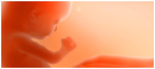Sognare di abortire o un aborto Sognare di abortire o un aborto