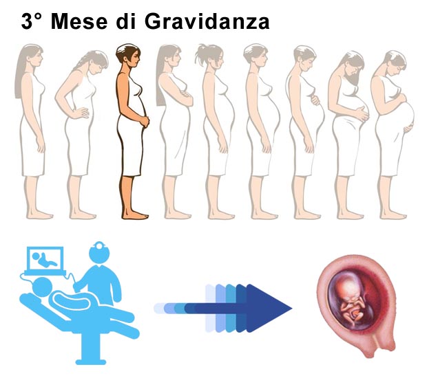 Terzo mese di gravidanza: dimensione pancia e bambino Pancia 3° mese di gravidanza