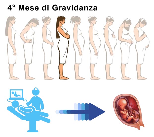 Quarto mese di gravidanza: dimensione pancia e bambino Pancia 4° mese di gravidanza