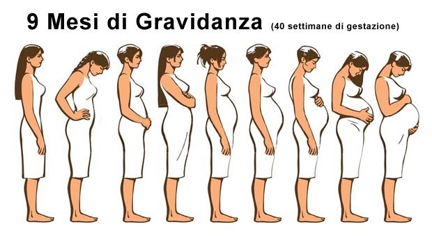 Crescita pancia nei nove mesi di gravidanza 9 mesi di gravidanza in una foto