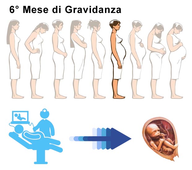 Pancia 6 mese di gravidanza