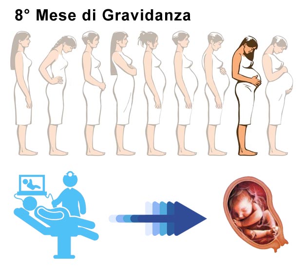 Ottavo mese di gravidanza: dimensione pancia e bambino Pancia 8° mese di gravidanza