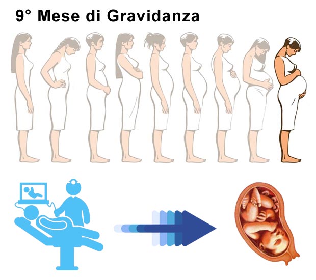 Nono mese di gravidanza: dimensione pancia e bambino Pancia 9° mese di gravidanza