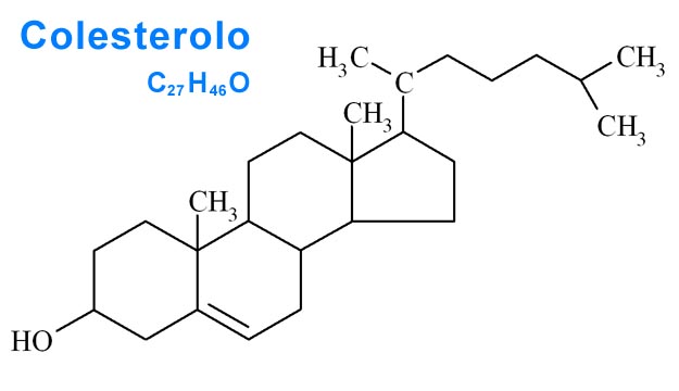 Struttura chimica del colesterolo