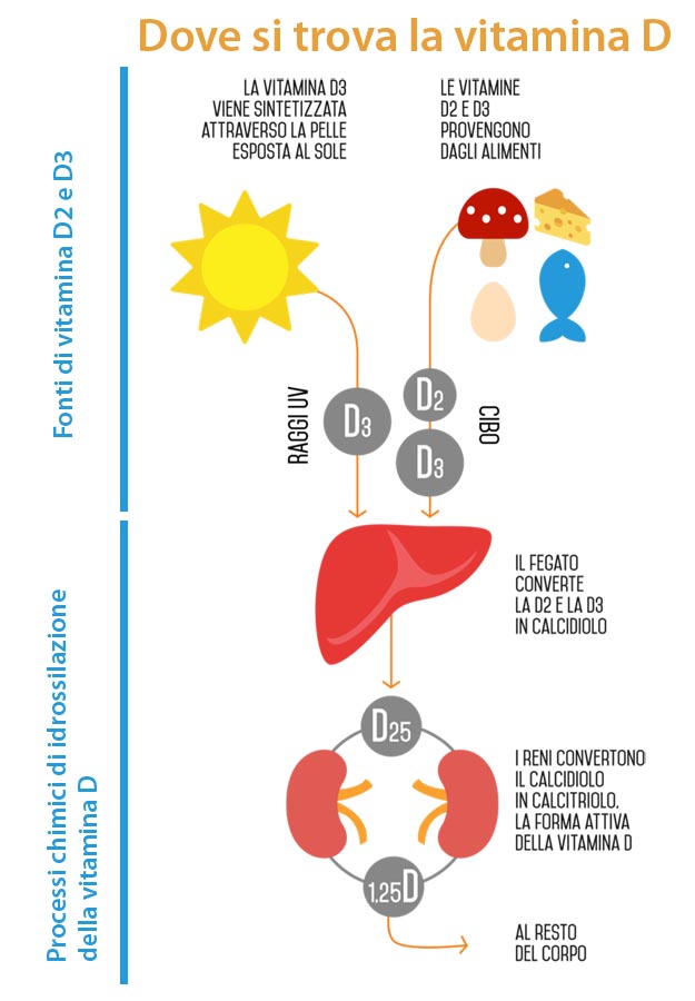 vitamina d direttamente sulla pelle